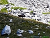 Campo Imperatore-photogallery-IMG_1024+.jpg